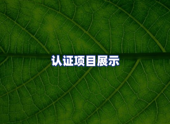 认证项目展示